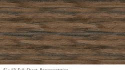 Y0465 Planked California Walnut - Wilsonart